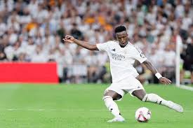 球队的整体 球队的整体